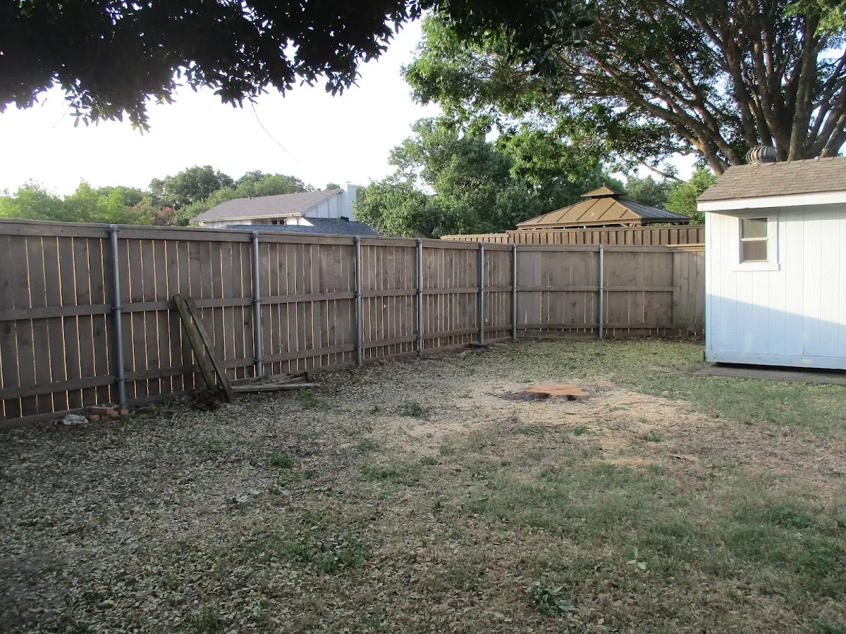 Cleared yard after professional tree removal in Pike