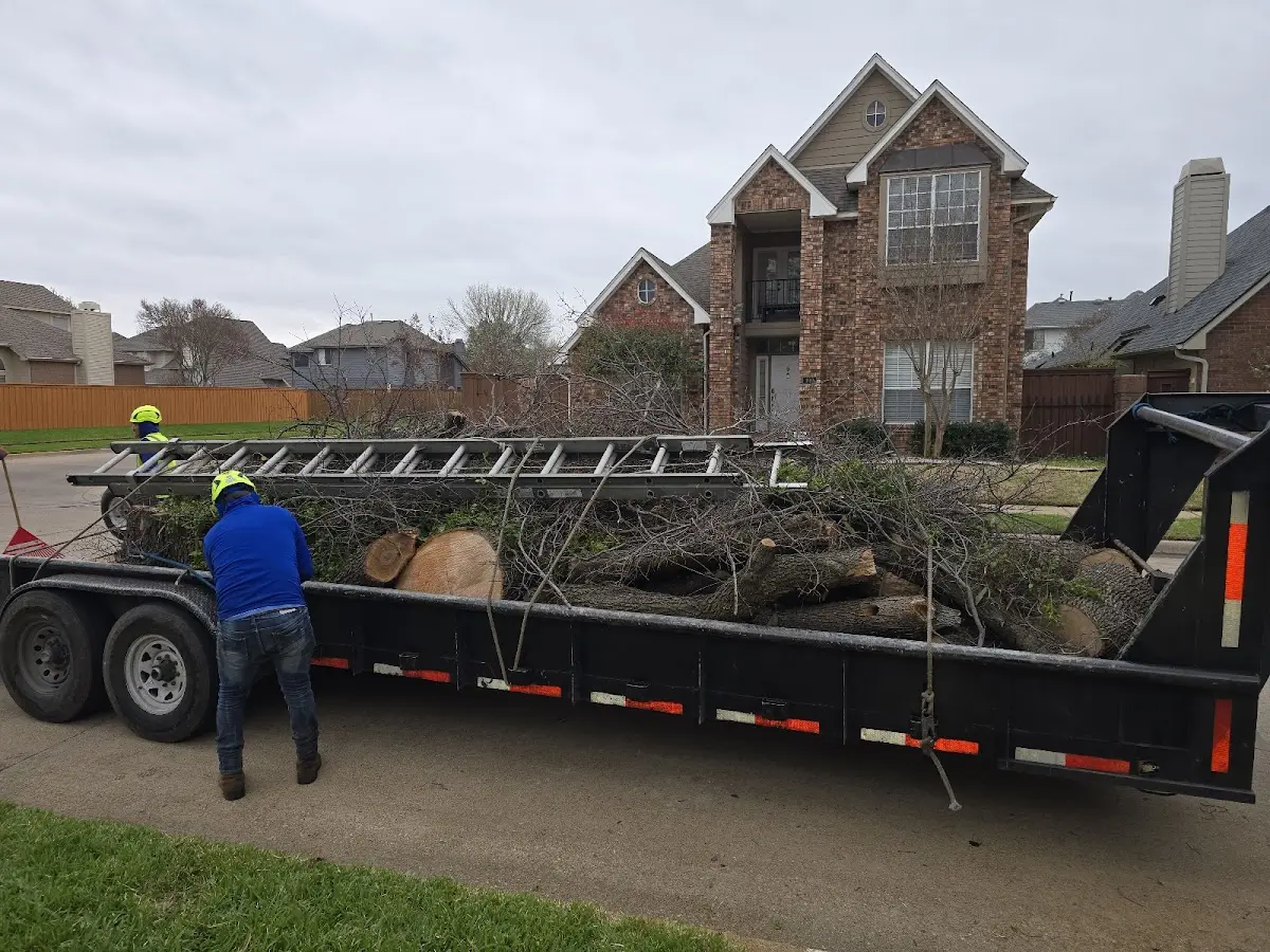 Expert Tree Fertilization with proper safety equipment in Pike